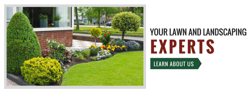 Your Lawn and Landscaping experts
